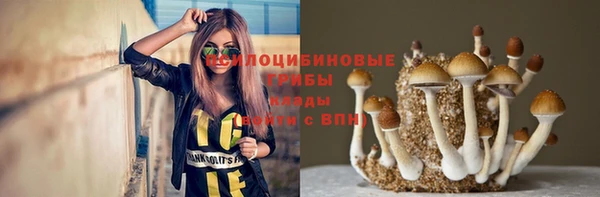 2c-b Вязьма