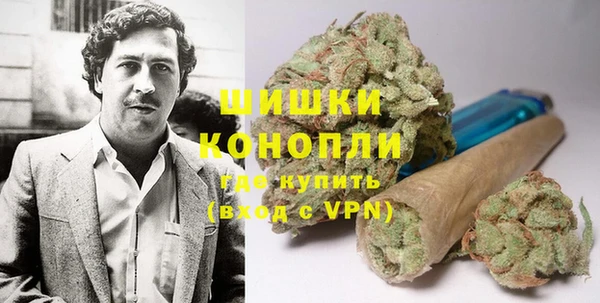 трава Горно-Алтайск