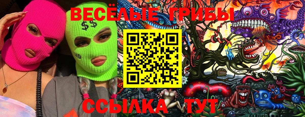 Галлюциногенные грибы MAGIC MUSHROOMS  Вход с VPN  Старый Оскол  Псилоцибиновые грибы мицелий 